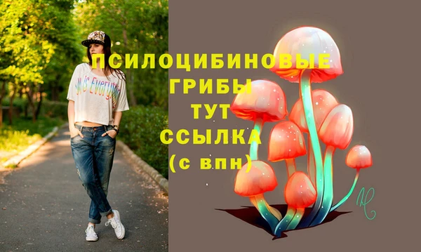 МДМА Абаза