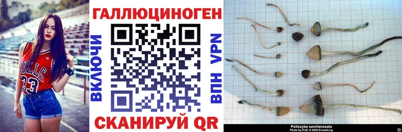 Псилоцибиновые грибы MAGIC MUSHROOMS  сколько стоит  Красновишерск 